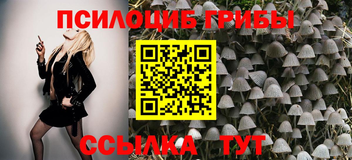 Галлюциногенные грибы GOLDEN TEACHER Железноводск